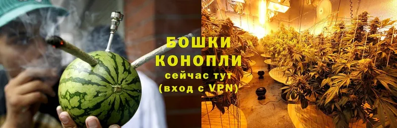 Шишки марихуана индика  купить   Новопавловск 